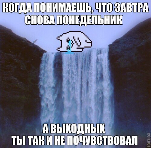   - 19  2017  18:29