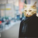 ���� ����, ������, 50 ��� - ��������� 12 ������� 2016