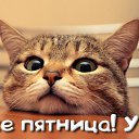���� ����, ����������, 58 ��� - ��������� 11 ������ 2016 � ������ �������� ��������
