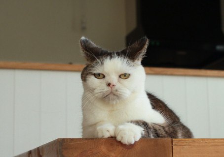 ���������� �� ������ - 2