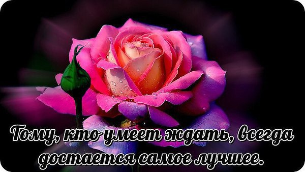    - 10  2017  10:23