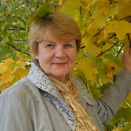 ������, ����������-���������, 71 ���