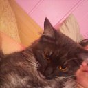 ���� ������, ������ - ��������� 27 �������� 2016 � ������ ���� ����������