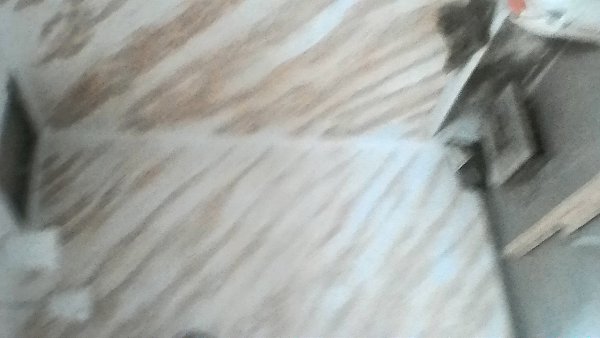 ���� - 24 ������ 2017 � 13:43 - 73