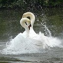 ���� �����, �����-��������� - ��������� 18 ������ 2017 � ������ ������ ��������