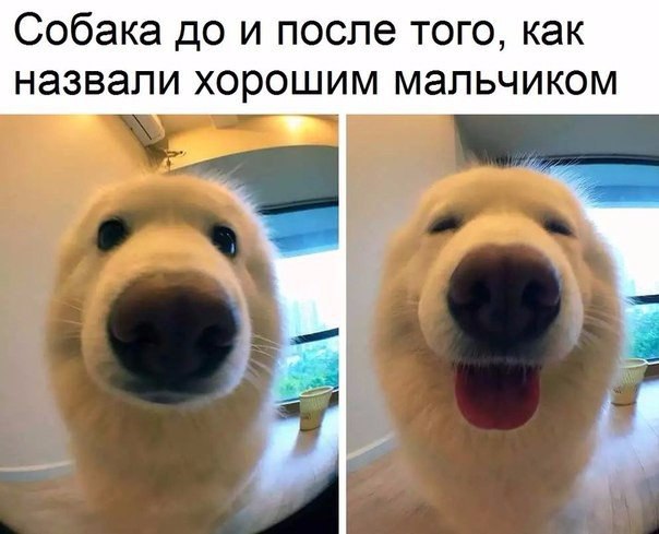   - 20  2017  01:51