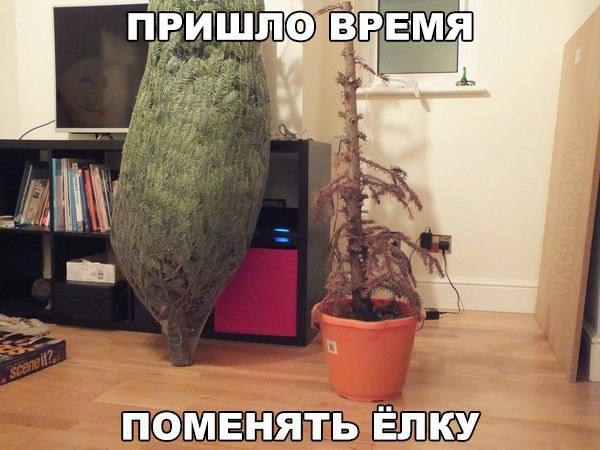  - 28  2016  16:42