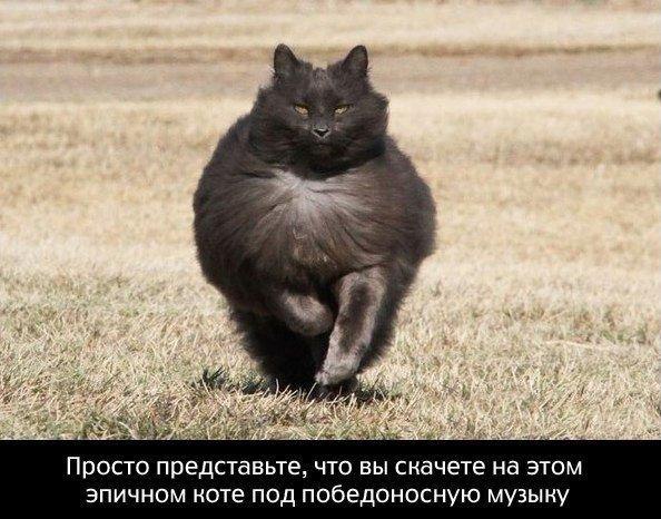    - 16  2017  20:13