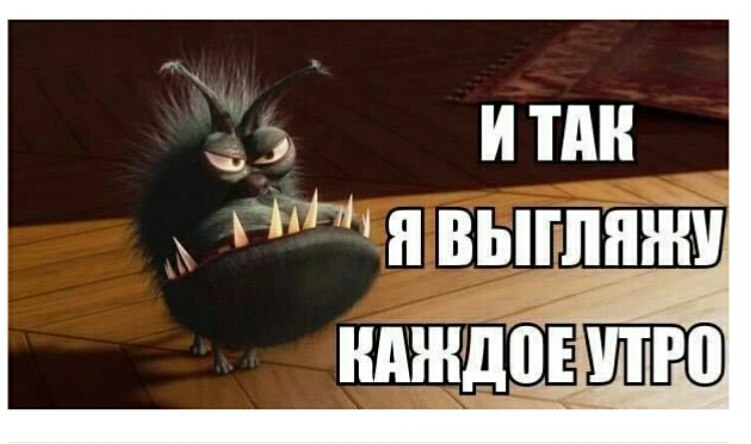   ... - 29  2017  22:24