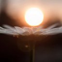 ���� �������, ������������ - ��������� 18 ������ 2016 � ������ ������ ��������