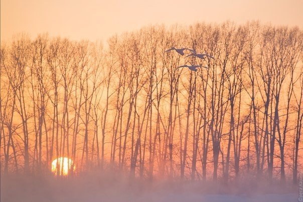     .     35.    ,  ... - 2