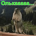 ���� �����, ������������, 56 ��� - ��������� 6 ����� 2017 � ������ ���� ����������