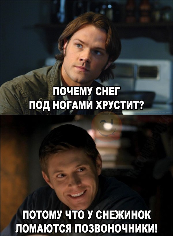    :D - 3  2017  12:08