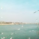 ���� Zaid, �������, 62 ���� - ��������� 2 ������ 2017 � ������ �������� �������-�������