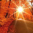 ���� ������, ��������, 49 ��� - ��������� 15 ������� 2017 � ������ ���� ����������