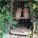 ���� Oleg, ������� ����, 78 ��� - ��������� 14 ������� 2016 � ������ ���� ����������