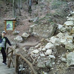 ���������, ������, 41 ���