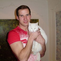 Andy, ʸ���, 54 ����