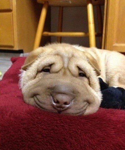 ����� ����������� ��!