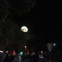 ���� ����, �����, 76 ��� - ��������� 13 ������ 2016 � ������ �Tropikania�