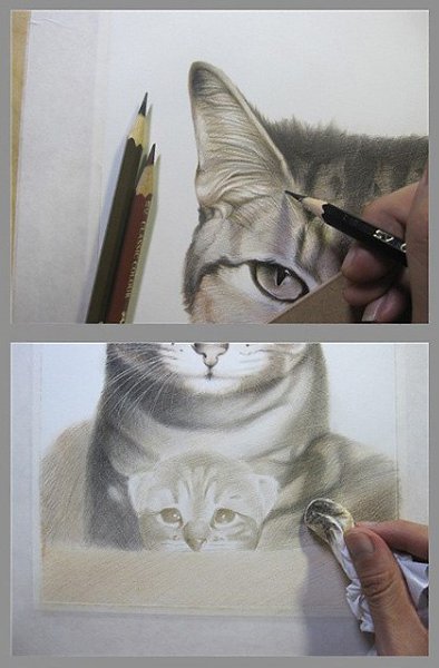 #пошаговые_уроки@ele_art_school. #графика@ele_art_school Кот цветными карандашами - 6