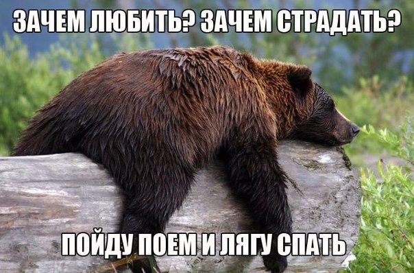   - 22  2017  13:52