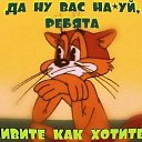 ���� ���, ����, 45 ��� - ��������� 5 ������� 2017 � ������ ������ ��������