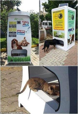 Автомат, который меняет вторсырье (пластиковые бутылки, стеклотару и жестяные банки) на корм для ...