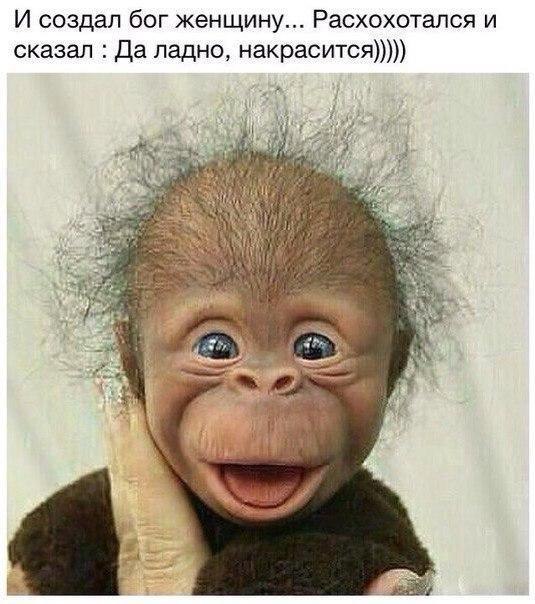    :D - 8  2016  03:06