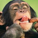 ���� ������, ������ - ��������� 5 ������� 2016 � ������ ������