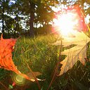 ���� ����, ������, 39 ��� - ��������� 17 ������� 2016 � ������ ������ ��������