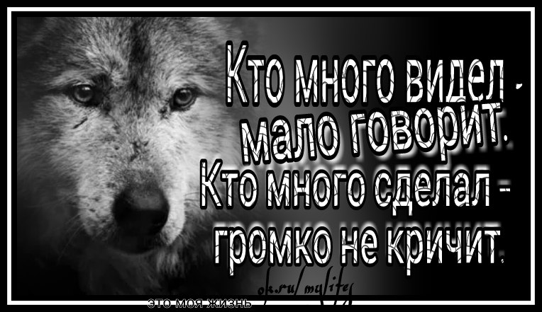   - 13  2017  16:41