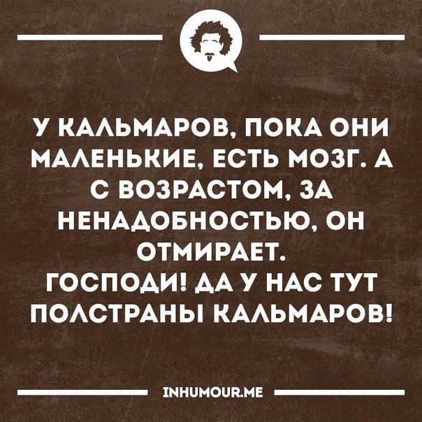   - 13  2016  06:23