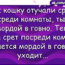 ���� ������, �������� - ��������� 23 ����� 2017 � ������ ������ ��������