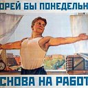 ���� ����, �������, 42 ���� - ��������� 1 ������� 2016 � ������ ���� ����������