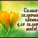 ���� �����, ������ �������� - ��������� 2 ������� 2016 � ������ �������� ��������