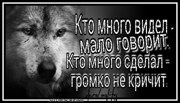   - 13  2017  16:41