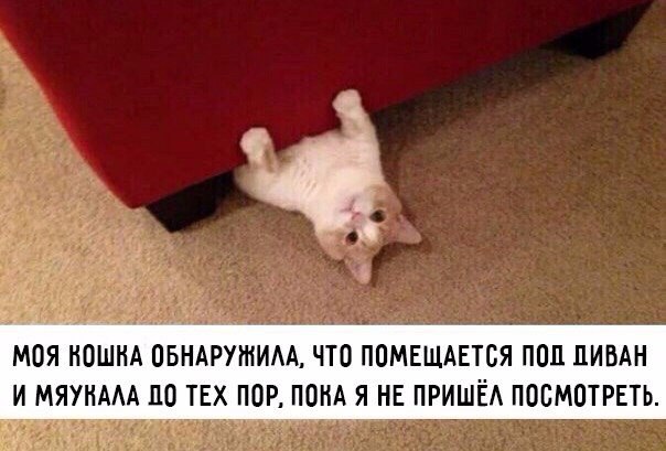  - 20  2017  16:04