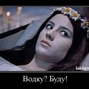 ���� �������, ������, 53 ���� - ��������� 27 ������� 2017 � ������ ������ ��������