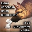 ���� ������, ����, 50 ��� - ��������� 3 ������� 2016 � ������ �?!�