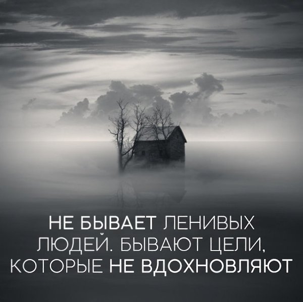 | ,  - 25  2017  03:28