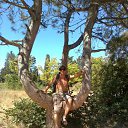 ����������� �������� 2013 �� ������� ���� ����������