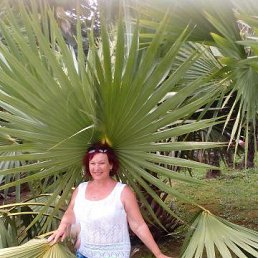 ����, �����-��������