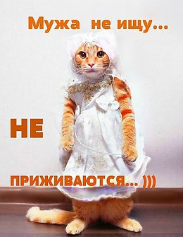  - 3  2017  13:02