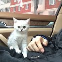 ���� Dima, �����-��������� - ��������� 11 ����� 2017 � ������ ���� ����������