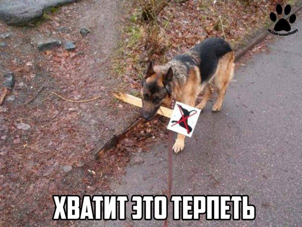    - 5  2017  16:14