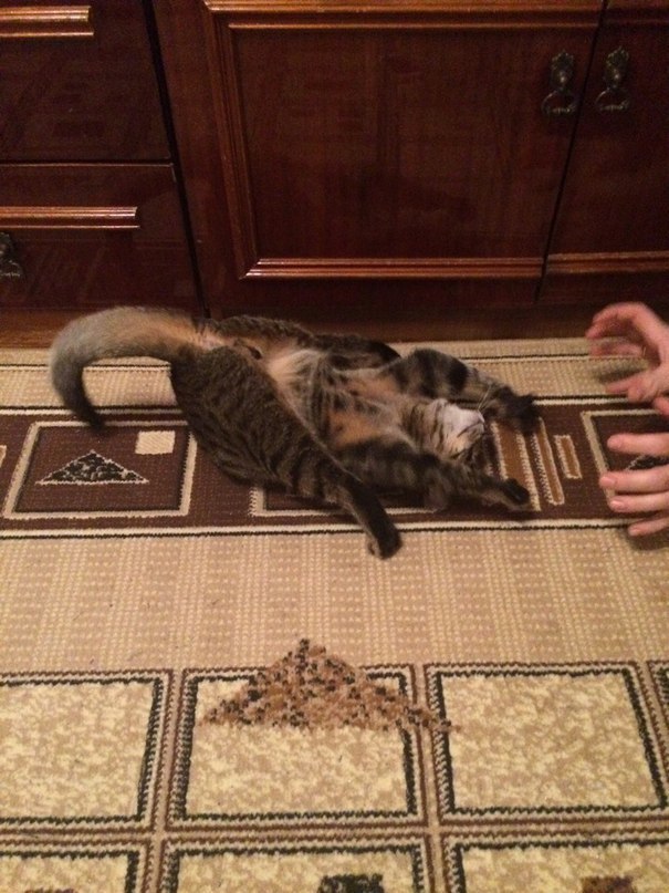  -!