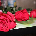 ���� �����, �������� - ��������� 11 ������� 2017 � ������ ������ ��������
