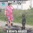  .. .,  -  31  2016     