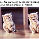 ���� ��@, �������, 54 ���� - ��������� 24 �������� 2016 � ������ ������ ��������